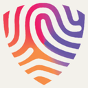 BigID logo
