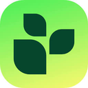 Lifesum logo