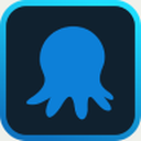 Octopus Deploy logo
