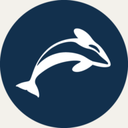 ORCA AVA logo
