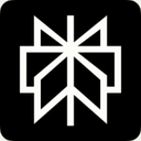 Perplexity logo