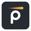 Pynt logo